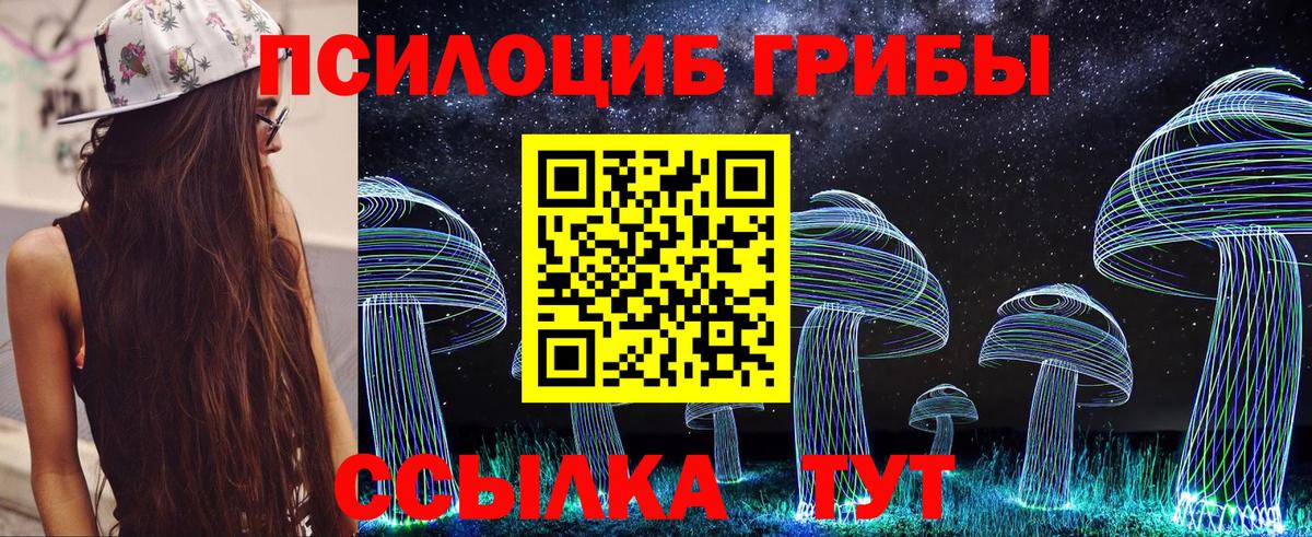 Псилоцибиновые грибы GOLDEN TEACHER  Вход с VPN  Горячий Ключ 